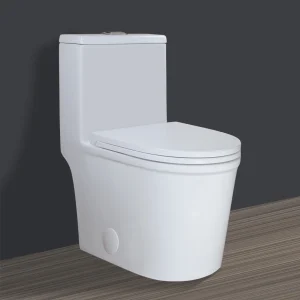 High-Efficiency Dual Flush Toilet, Compact Design, 10" Rough-In